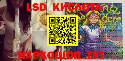 гидра Гатчина