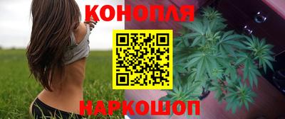 гидра Гатчина