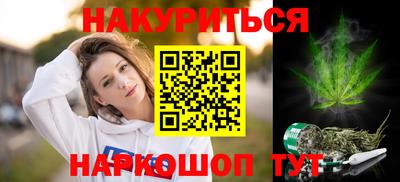 гидра Гатчина
