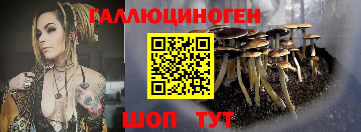 Галлюциногенные грибы мухоморы  Вход с VPN  Можга 