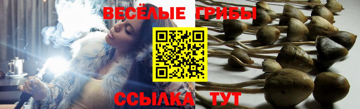 Галлюциногенные грибы Magic Shrooms Можга